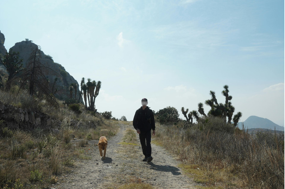 SYEKH AL-BUSTAMI DAN SEEKOR ANJING