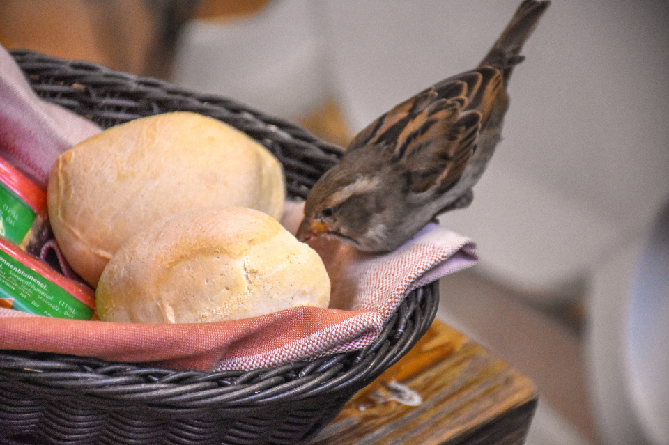 DISEBABKAN ROTI, SEORANG RAJA MENJADI SUFI